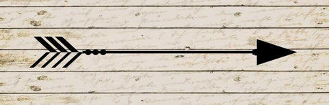 Arrow 2 Black Ornate Wood Framed Art Print with Double Matting by Allen, Kimberly