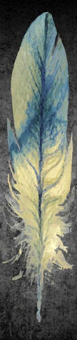 Feather on Black 1 White Modern Wood Framed Art Print with Double Matting by Allen, Kimberly