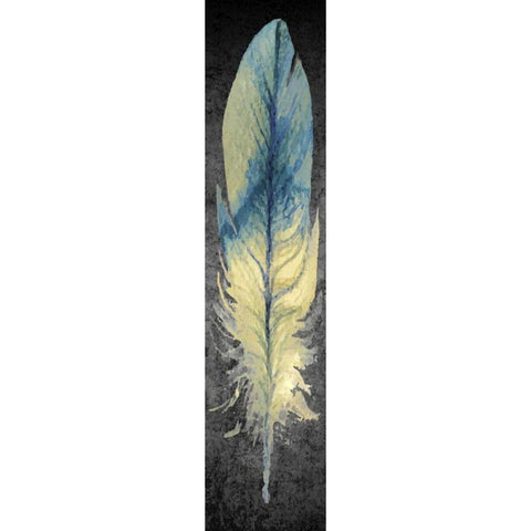 Feather on Black 1 Black Modern Wood Framed Art Print with Double Matting by Allen, Kimberly