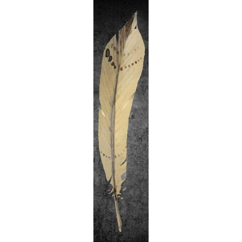 Feather on Black 2 Black Modern Wood Framed Art Print by Allen, Kimberly