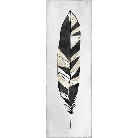 White Feathered 1 Black Modern Wood Framed Art Print with Double Matting by Allen, Kimberly