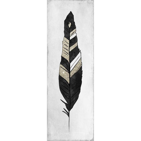 White Feathered 3 Black Modern Wood Framed Art Print with Double Matting by Allen, Kimberly