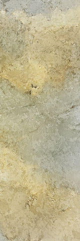 Golden Stream B Black Ornate Wood Framed Art Print with Double Matting by Kimberly, Allen