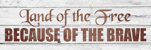 Land of the Free White Modern Wood Framed Art Print with Double Matting by Kimberly, Allen