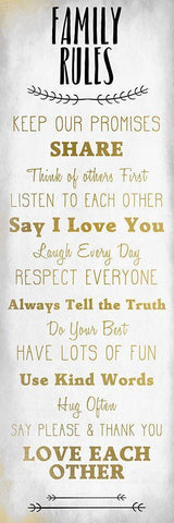 Family Rules v6 White Modern Wood Framed Art Print with Double Matting by Kimberly, Allen