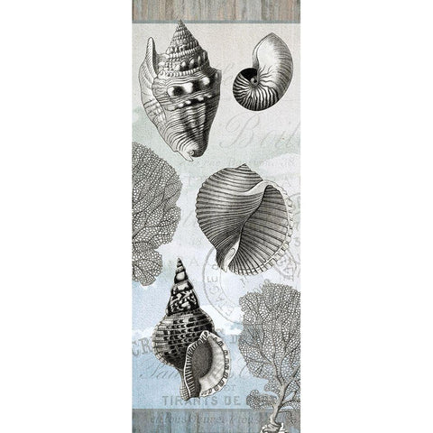Seaside A Gold Ornate Wood Framed Art Print with Double Matting by Kimberly, Allen
