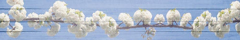 White Blossoms White Modern Wood Framed Art Print with Double Matting by Kimberly, Allen