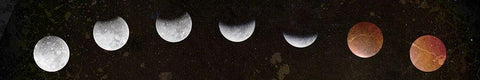 Moons Black Ornate Wood Framed Art Print with Double Matting by Kimberly, Allen