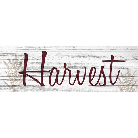 Harvest Black Modern Wood Framed Art Print with Double Matting by Kimberly, Allen