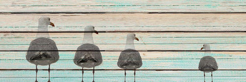 Seagulls Black Ornate Wood Framed Art Print with Double Matting by Kimberly, Allen