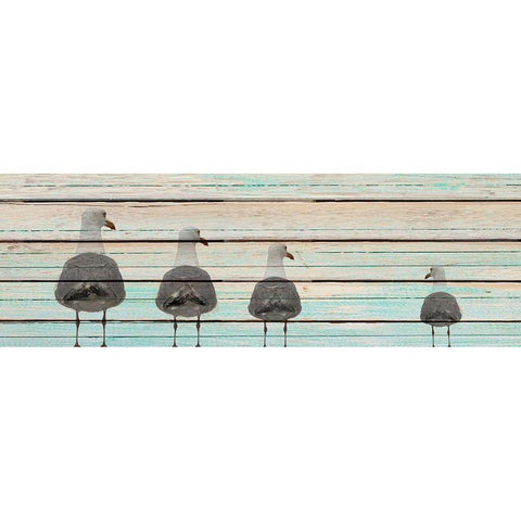 Seagulls White Modern Wood Framed Art Print by Kimberly, Allen