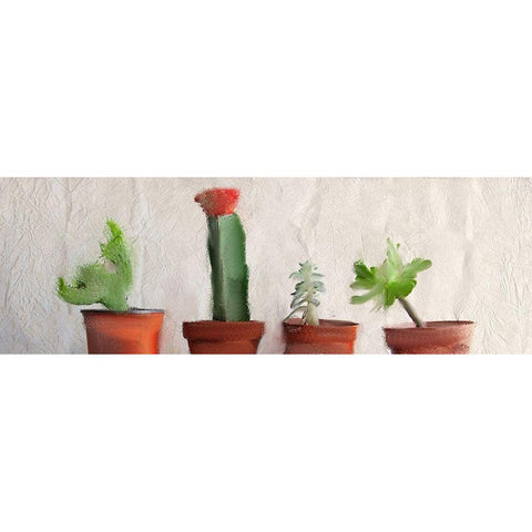 Potted Row Gold Ornate Wood Framed Art Print with Double Matting by Kimberly, Allen