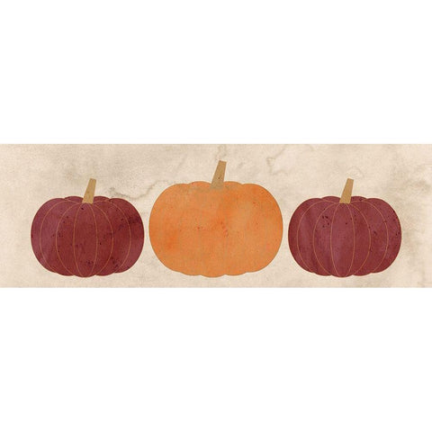 Pumpkins in a Row Black Modern Wood Framed Art Print with Double Matting by Kimberly, Allen