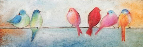 Colorful Birds On A Wire White Modern Wood Framed Art Print with Double Matting by Kimberly, Allen