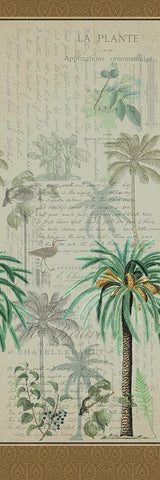Palm Dreams White Modern Wood Framed Art Print with Double Matting by Kimberly, Allen