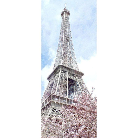 Paris in Bloom 1 White Modern Wood Framed Art Print by Kimberly, Allen