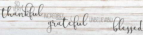 So Very Thankful White Modern Wood Framed Art Print with Double Matting by Kimberly, Allen