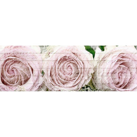 Three Roses White Modern Wood Framed Art Print by Kimberly, Allen