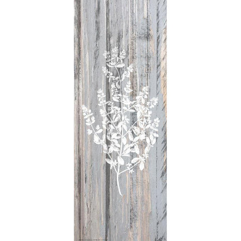 Botanical Wood 2 White Modern Wood Framed Art Print by Allen, Kimberly