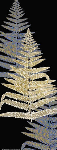 Fern Gold 3 White Modern Wood Framed Art Print with Double Matting by Allen, Kimberly