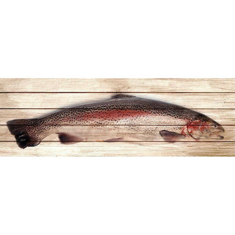 Trout 1 White Modern Wood Framed Art Print by Allen, Kimberly