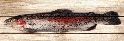 Trout 2 Black Ornate Wood Framed Art Print with Double Matting by Allen, Kimberly