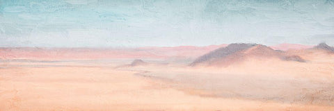 Panoramic Desert Black Ornate Wood Framed Art Print with Double Matting by Allen, Kimberly