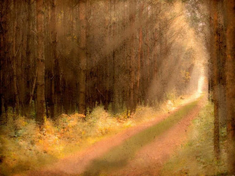Road To Enlightenment Black Ornate Wood Framed Art Print with Double Matting by Allen, Kimberly