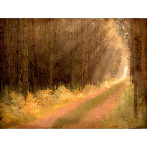 Road To Enlightenment Black Modern Wood Framed Art Print by Allen, Kimberly