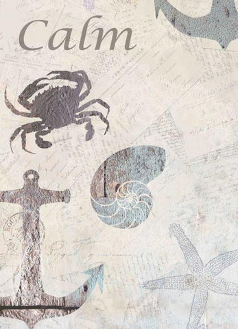 Coastal Calm Black Ornate Wood Framed Art Print with Double Matting by Allen, Kimberly