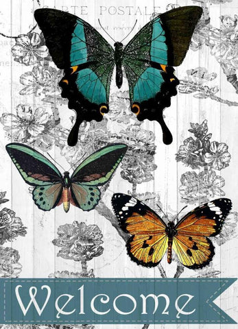 Welcome Butterflies White Modern Wood Framed Art Print with Double Matting by Allen, Kimberly