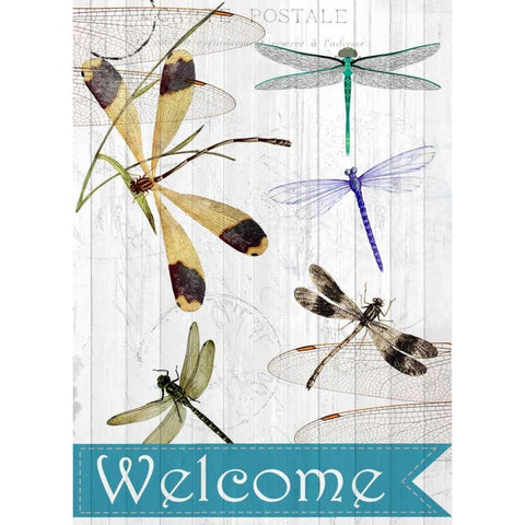 Welcome Dragonflies White Modern Wood Framed Art Print by Allen, Kimberly