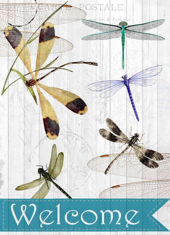 Welcome Dragonflies Black Ornate Wood Framed Art Print with Double Matting by Allen, Kimberly