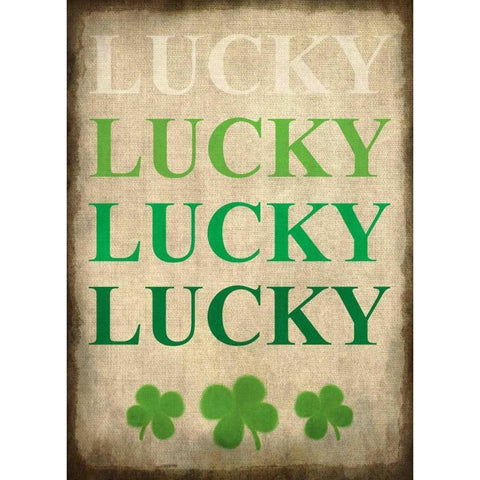 LUCKY LUCKY Black Modern Wood Framed Art Print with Double Matting by Allen, Kimberly