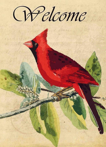 Cardinal Welcome White Modern Wood Framed Art Print with Double Matting by Allen, Kimberly