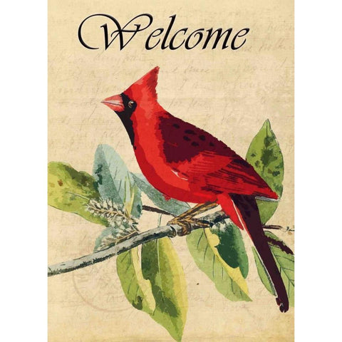 Cardinal Welcome Gold Ornate Wood Framed Art Print with Double Matting by Allen, Kimberly