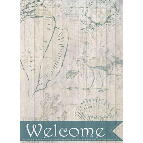 Coastal Shells Black Modern Wood Framed Art Print with Double Matting by Allen, Kimberly