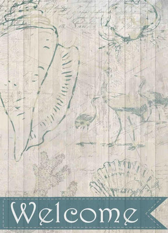 Coastal Shells Black Ornate Wood Framed Art Print with Double Matting by Allen, Kimberly