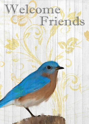 Bluebird Day White Modern Wood Framed Art Print with Double Matting by Allen, Kimberly