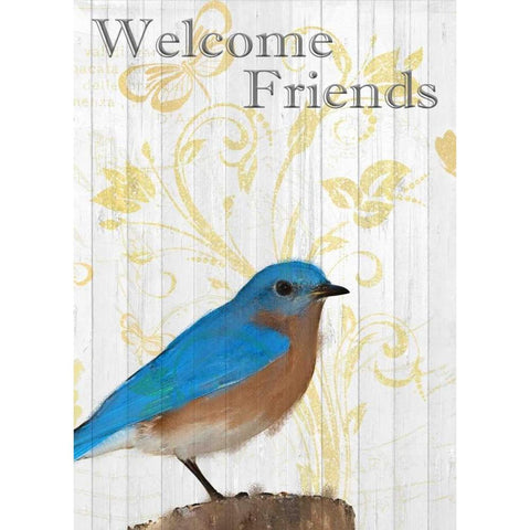Bluebird Day Black Modern Wood Framed Art Print by Allen, Kimberly