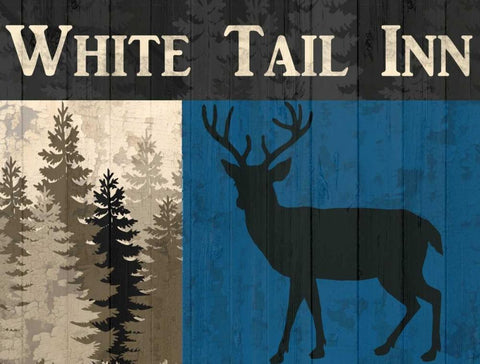 White Tail Inn White Modern Wood Framed Art Print with Double Matting by Allen, Kimberly