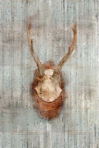 Antlers 1 Black Ornate Wood Framed Art Print with Double Matting by Allen, Kimberly