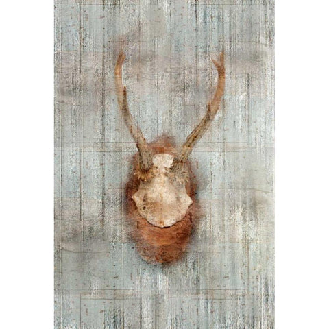 Antlers 1 Black Modern Wood Framed Art Print by Allen, Kimberly