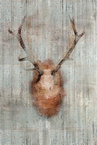 Antlers 2 White Modern Wood Framed Art Print with Double Matting by Allen, Kimberly