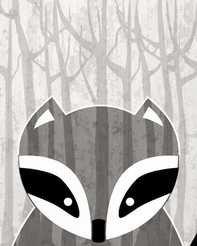 Woodland Racoon White Modern Wood Framed Art Print with Double Matting by Allen, Kimberly