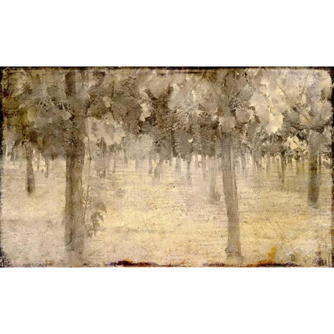 Vineyard Black Modern Wood Framed Art Print with Double Matting by Allen, Kimberly