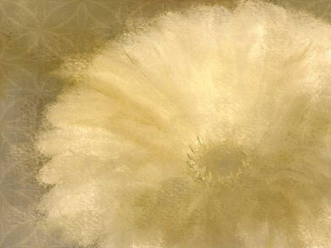 Golden Petals Black Ornate Wood Framed Art Print with Double Matting by Allen, Kimberly
