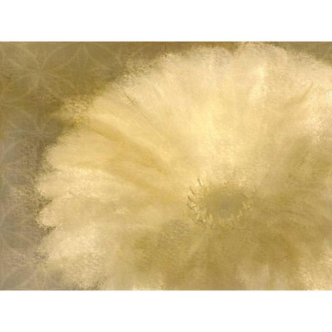 Golden Petals Black Modern Wood Framed Art Print by Allen, Kimberly