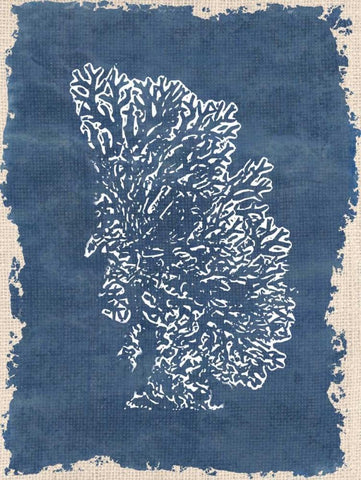 Blue Hue Coral 3 Black Ornate Wood Framed Art Print with Double Matting by Allen, Kimberly