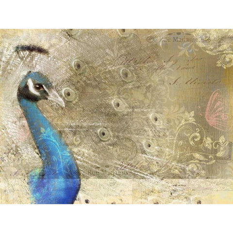 Peacock Royal Black Modern Wood Framed Art Print with Double Matting by Allen, Kimberly